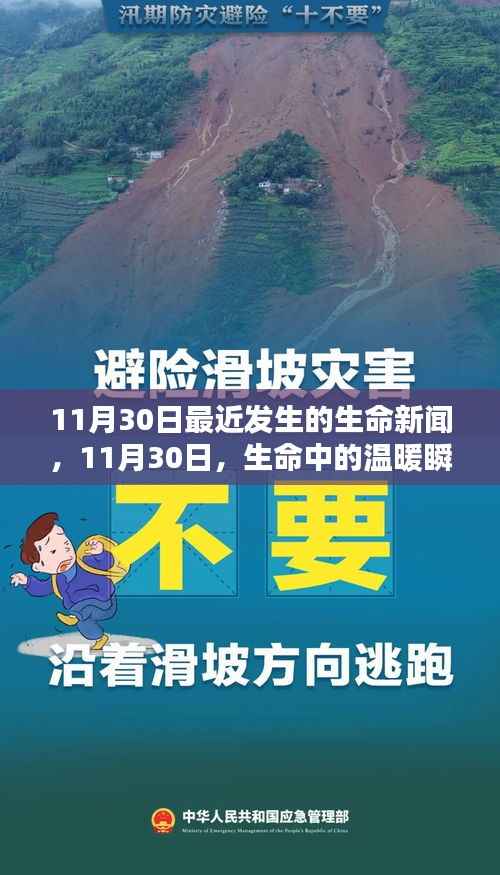 11月30日生命新闻回顾,温暖瞬间传递生命力量