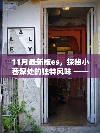 探秘小巷深处的独特风味,揭秘11月最新版es特色小店