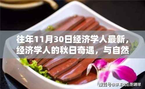 经济学人秋日心灵之旅,与自然共舞,探寻宁静之地