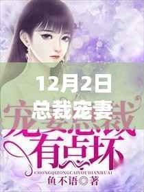 总裁宠妻上天最新章节下的隐秘美食之旅，小巷深处的独特风味