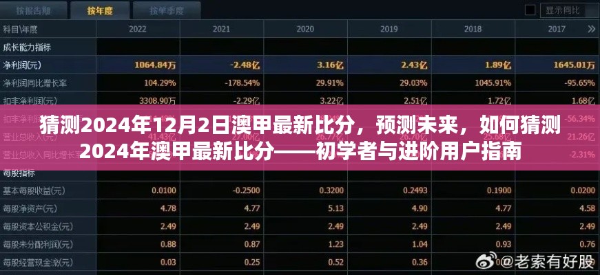 初学者与进阶用户指南，预测未来澳甲最新比分，揭秘2024年澳甲赛事走向分析！