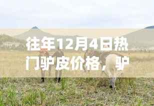 驴皮价格背后的故事,与自然美景的邂逅与寻找内心宁静之旅