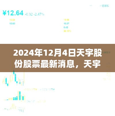 天宇股份,科技新星引领智能生活潮流,最新动向闪耀股市消息(2024年12月4日)