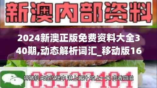 2024新澳正版免费资料大全340期,动态解析词汇_移动版166.573-1