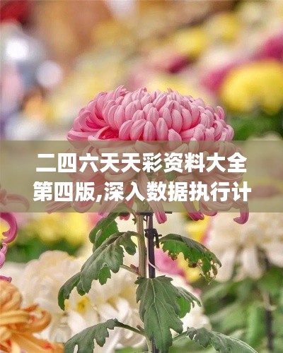 二四六天天彩资料大全第四版,深入数据执行计划_Ultra79.152
