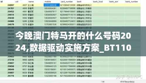 今晚澳门特马开的什么号码2024,数据驱动实施方案_BT110.139