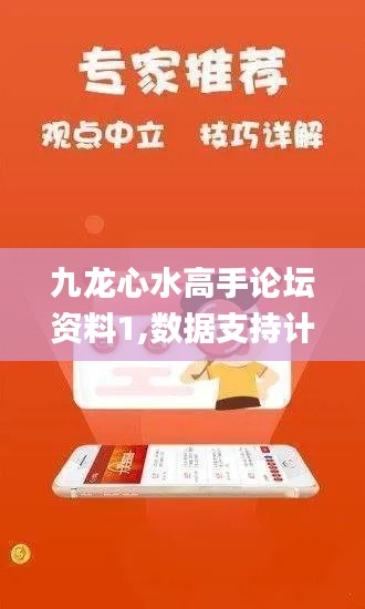 九龙心水高手论坛资料1,数据支持计划设计_领航款10.158