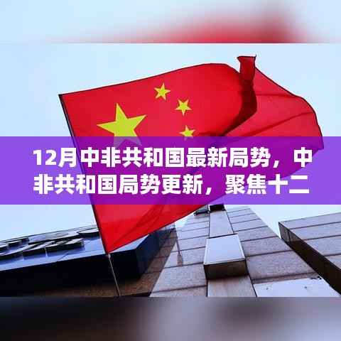 中非共和国局势最新动态,十二月更新聚焦