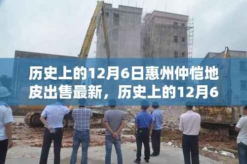 历史上的12月6日惠州仲恺地皮出售概览,从初学者到进阶用户的实用指南