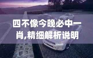 四不像今晚必中一肖,精细解析说明_策略版2.963