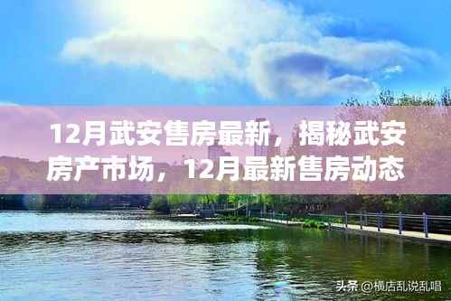 揭秘武安房产市场，最新售房动态与趋势分析（12月版）