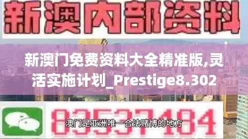 新澳门免费资料大全精准版,灵活实施计划_Prestige8.302