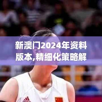 新澳门2024年资料版本,精细化策略解析_苹果9.785