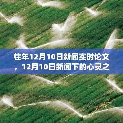 探索自然美景的心灵之旅,12月10日新闻下的艺术与生活