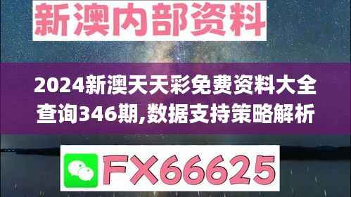 2024新澳天天彩免费资料大全查询346期,数据支持策略解析_Windows19.608