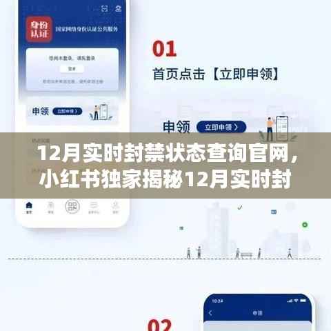 小红书独家揭秘,12月实时封禁状态查询官网全攻略——账号安全无忧,守护你的网络世界!