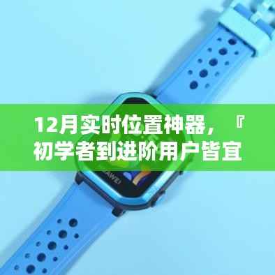 从初学者到进阶用户皆宜,12月实时位置神器使用指南——合法追踪,避免违法行为