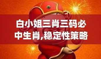 白小姐三肖三码必中生肖,稳定性策略解析_豪华版8.523