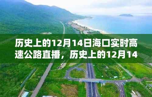 海口实时高速公路直播纪实,历史上的12月14日回顾