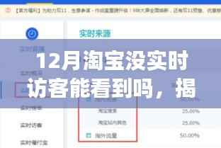 揭秘淘宝十二月，无实时访客，你的店铺还能洞察哪些玄机？