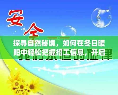 冬日暖阳探寻自然秘境,把握招工信息,启程心灵之旅