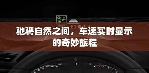 自然驰骋,实时车速的奇妙旅程