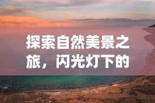 自然探索之旅,闪光下的宁静与奇迹