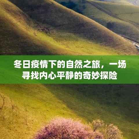 冬日疫情下的自然之旅，心灵宁静的奇妙探险之旅