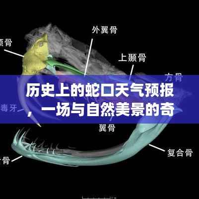 蛇口天气预报揭秘,与自然美景的奇妙邂逅
