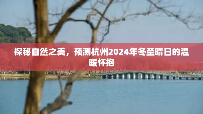 探秘杭州自然之美,2024年冬至晴日的温暖预测