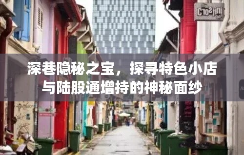 深巷隐秘之宝,探寻特色小店与陆股通增持之谜