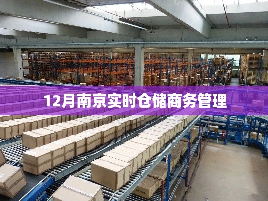 南京实时仓储商务管理,高效运作与智能决策之选