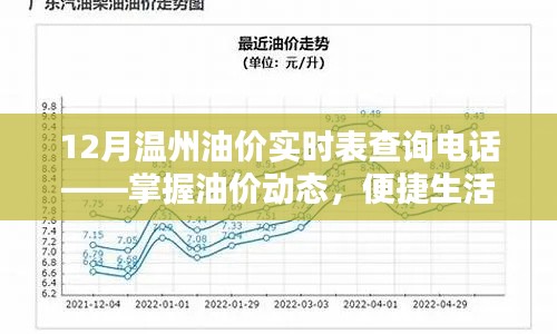 温州油价实时查询电话,轻松掌握油价动态