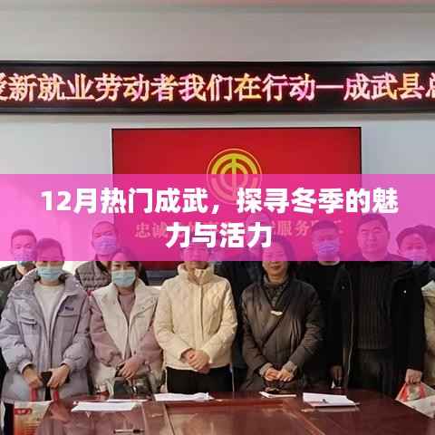 成武冬季魅力与活力探寻,12月热门旅游目的地