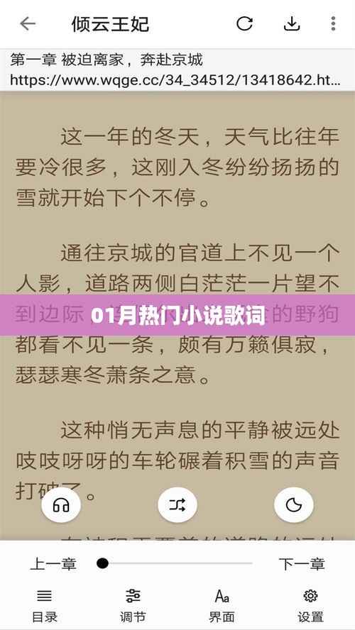 『01月热门小说歌曲赏析』