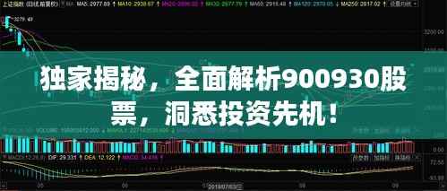 独家揭秘,全面解析900930股票,洞悉投资先机!