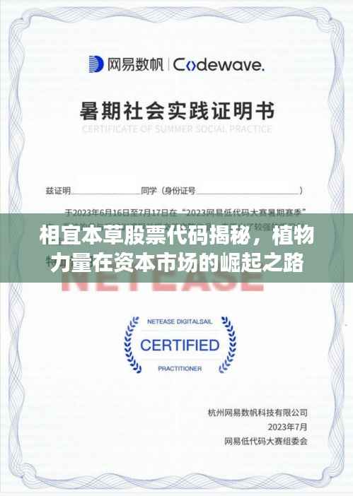 相宜本草股票代码揭秘，植物力量在资本市场的崛起之路