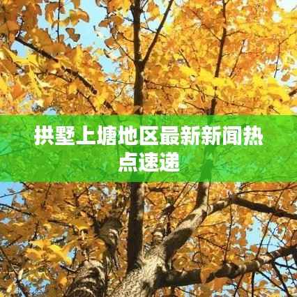 拱墅上塘地区最新新闻热点速递