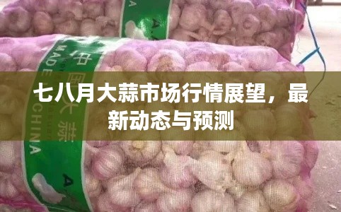 七八月大蒜市场行情展望,最新动态与预测