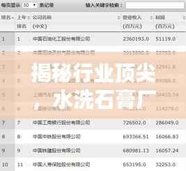 揭秘行业顶尖,水洗石膏厂家排名前十榜单揭晓!