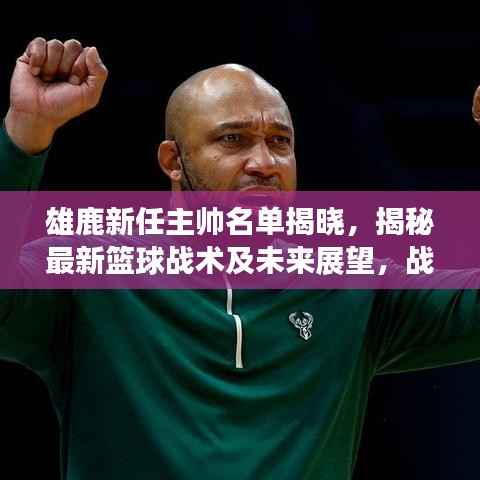 雄鹿新任主帅名单揭晓,揭秘最新篮球战术及未来展望,战术变革与前景展望