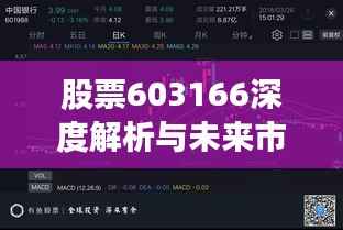 股票603166深度解析与未来市场前景展望