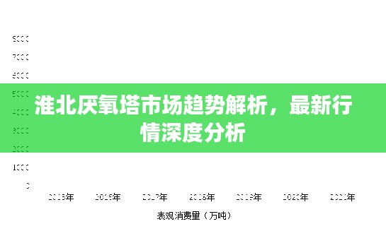 淮北厌氧塔市场趋势解析,最新行情深度分析