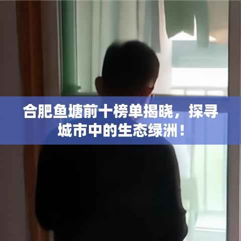 合肥鱼塘前十榜单揭晓,探寻城市中的生态绿洲!
