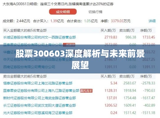 股票300603深度解析与未来前景展望