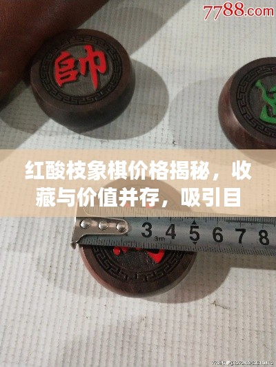 红酸枝象棋价格揭秘,收藏与价值并存,吸引目光的完美结合!
