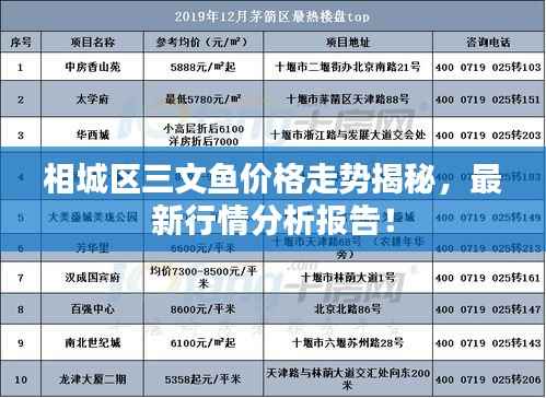 相城区三文鱼价格走势揭秘,最新行情分析报告!