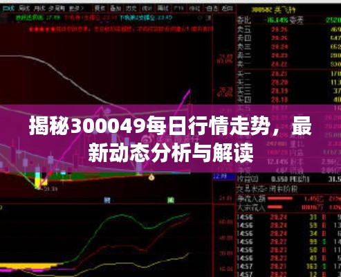 揭秘300049每日行情走势,最新动态分析与解读