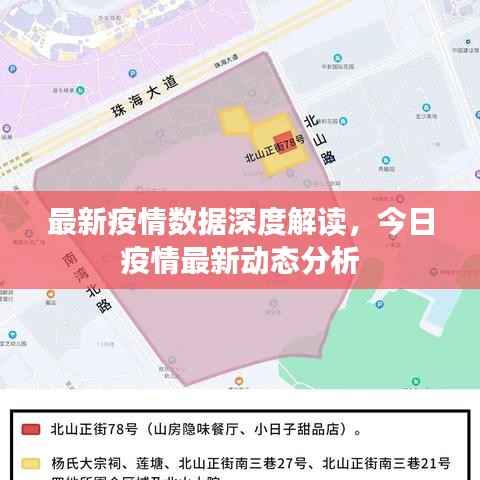 最新疫情数据深度解读，今日疫情最新动态分析