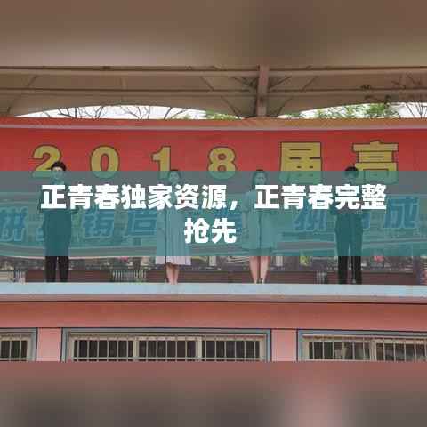 正青春独家资源,正青春完整抢先